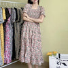 Spring Summer Elastic Waist Chiffon Dress Women Casual Pleated A-line