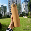 Insulated Water Bottle with Straw 600ml 750ml Stainless Steel
