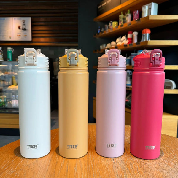 Insulated Water Bottle with Straw 600ml 750ml Stainless Steel