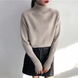 Women's Turtleneck Sweater Knitted Loose Pullover with High Elasticity, Thick for Autumn and Winter