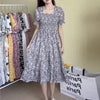 Spring Summer Elastic Waist Chiffon Dress Women Casual Pleated A-line