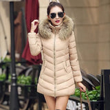 Women's Jacket 2023 Winter: Korean Style long Zipper Slim Coats Fur Collar Hooded