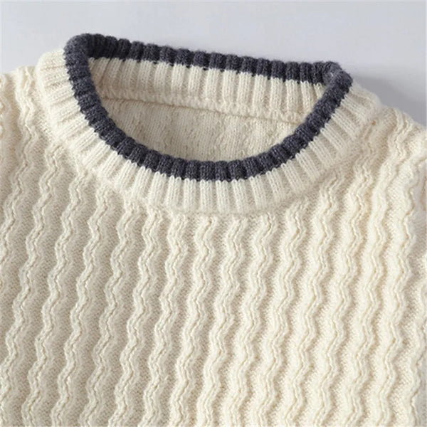 Mens Slim Fit Knit Sweater Crew Neck Pullover Casual Fall Winter