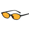 Womens Fashion Oval Sun Glasses